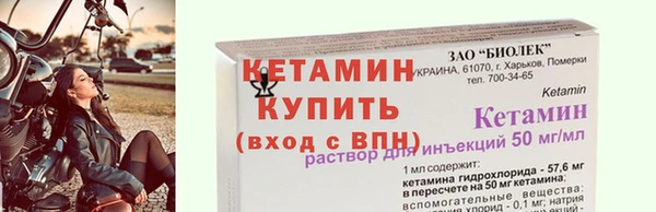 шишки Белокуриха