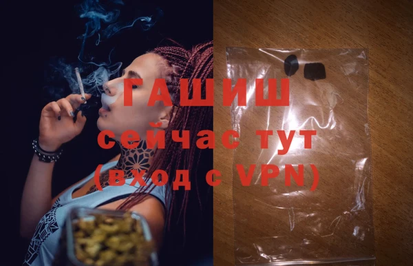 дживик Балахна