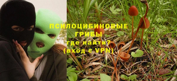 дживик Балахна
