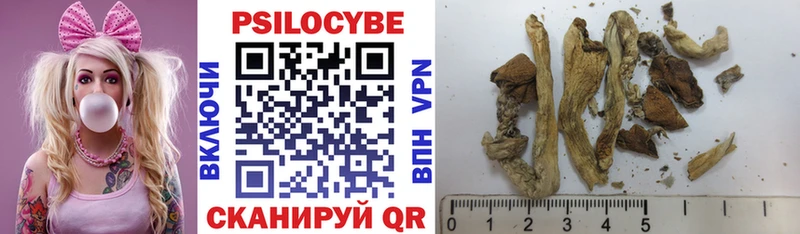 Псилоцибиновые грибы Psilocybe  Нижняя Салда 